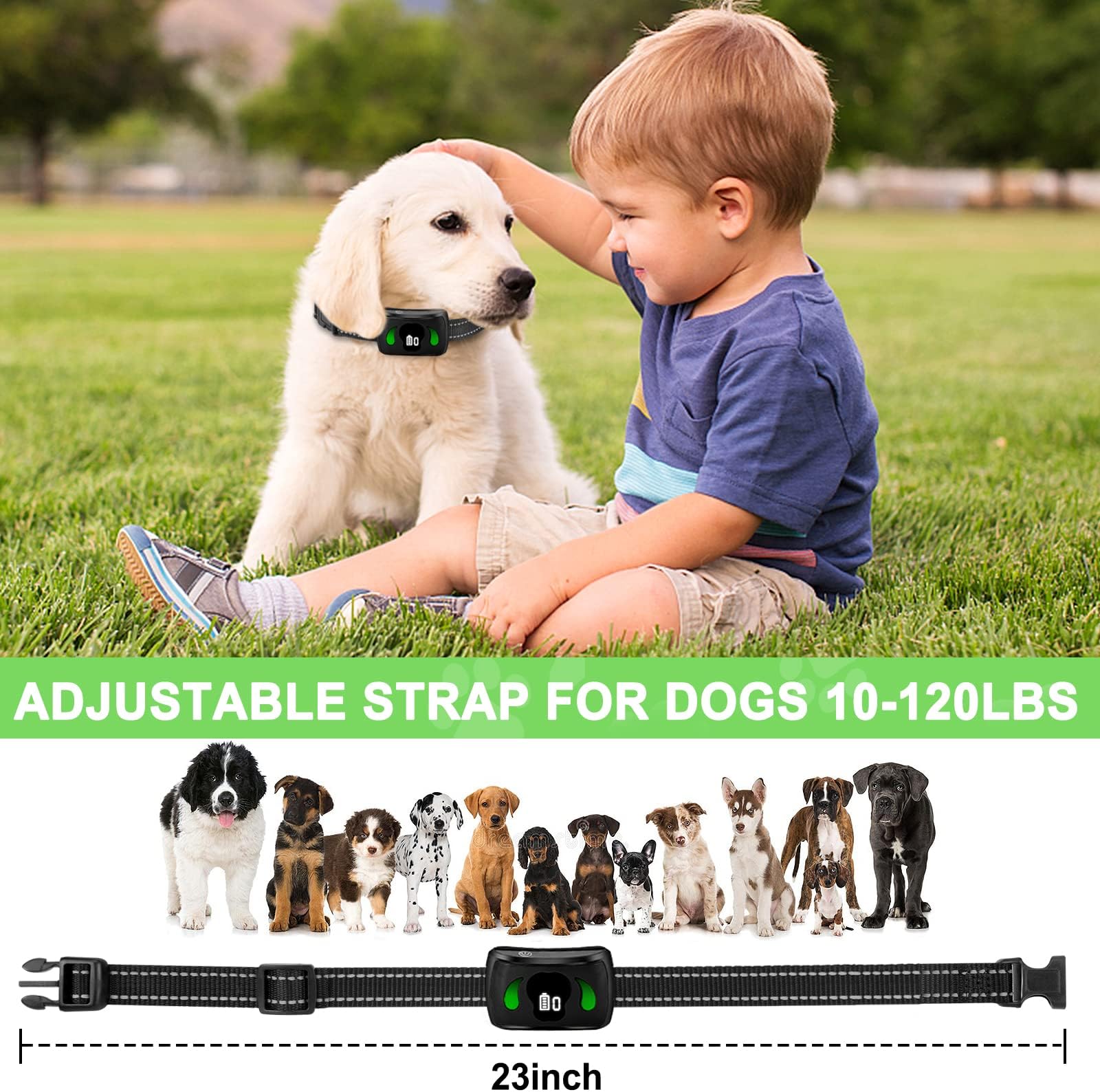 Mini Remote Large Dog Medium&Small Dogs, Anti Barking Training with 7 Adjustable Sensitivity - Safe No Bark Collar for Indoor, Garden & Courtyard Use