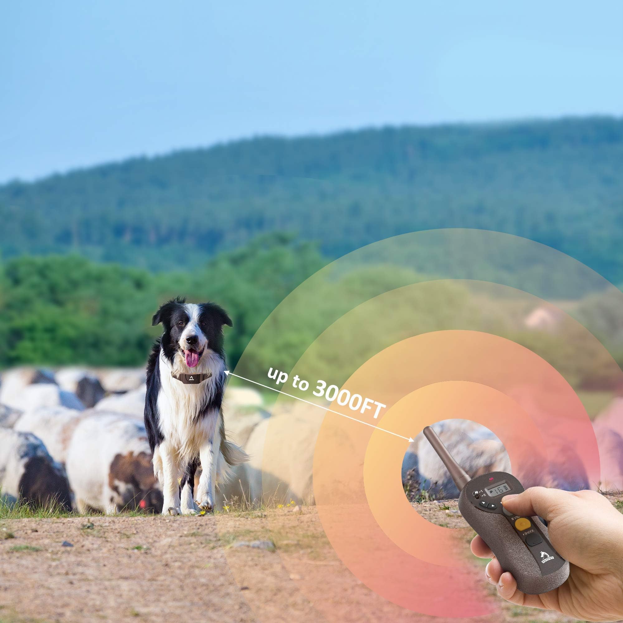 PATPET Dog Large - IPX7 Waterproof E Collar for Dogs Training with Beep, Vibration and Static Modes