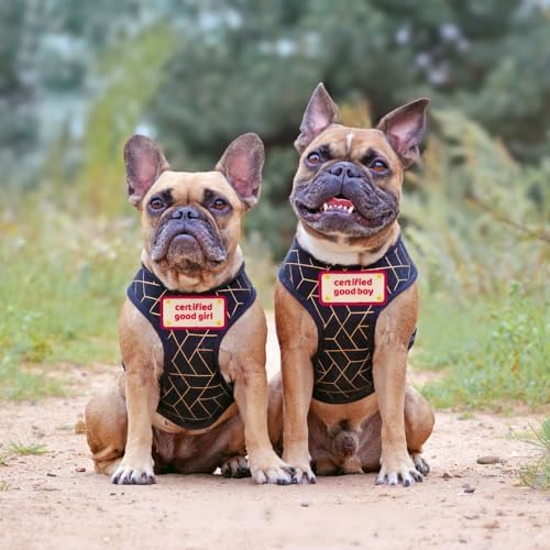 Certified Good Boy Girl Harness Patches | Hoop & Loop Funny Cute Dogs Patch for Removable Vest Collar Tactical Working Moral Training Tracking Service