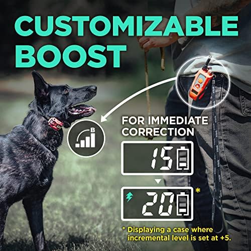 Dogtra E-Collar Tom Davis 280C Boost & Lock, Waterproof, 1/2-Mile Range Dog Training Collar with Remote, Rechargeable, 127 Levels, Vibration, Bungee, 