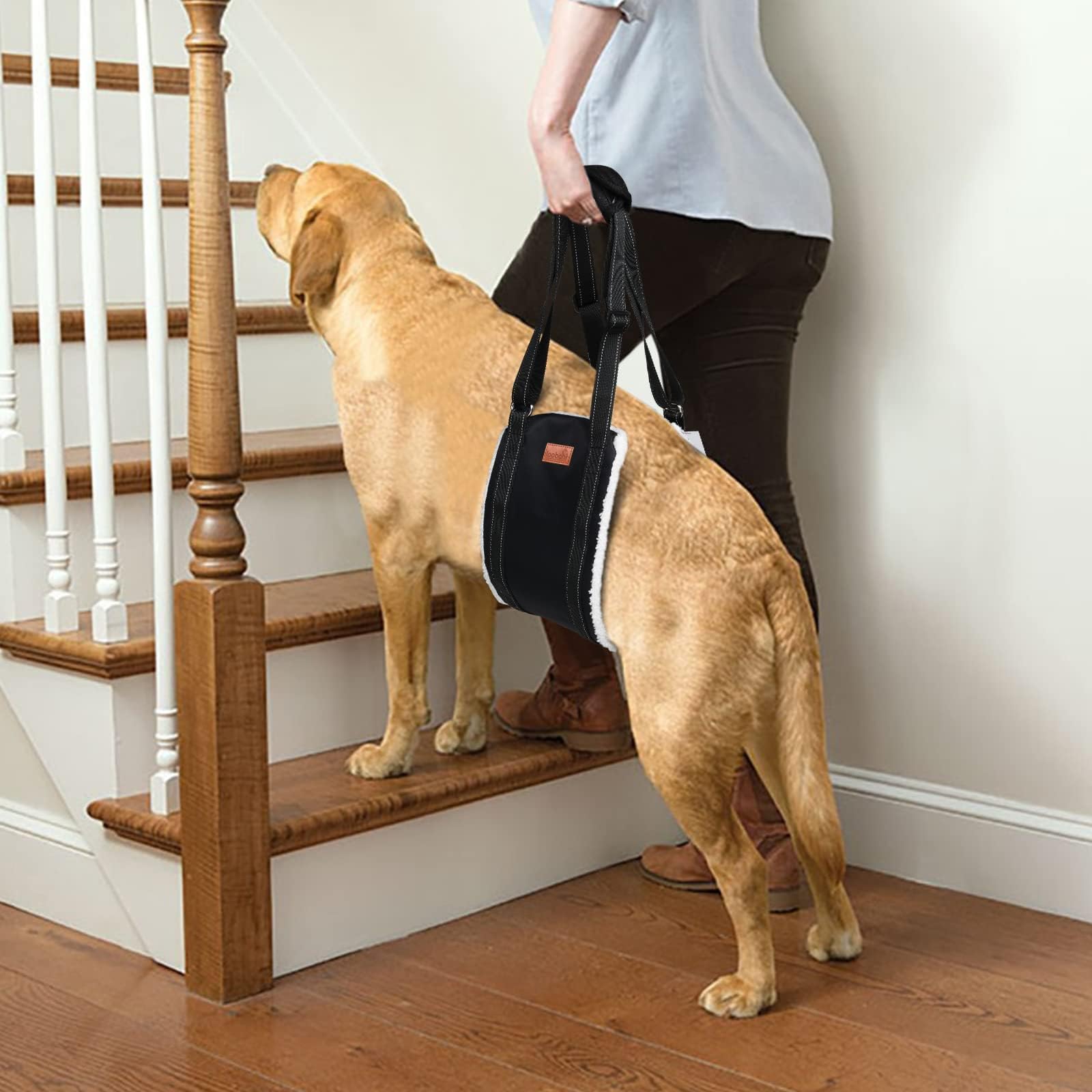 LOOBANI Portable Dog Sling Back Legs, Hip Support Harness to Help Lift Dogs Rear for Canine Aid and Old K9 Cruciate Ligament Rehabilitation
