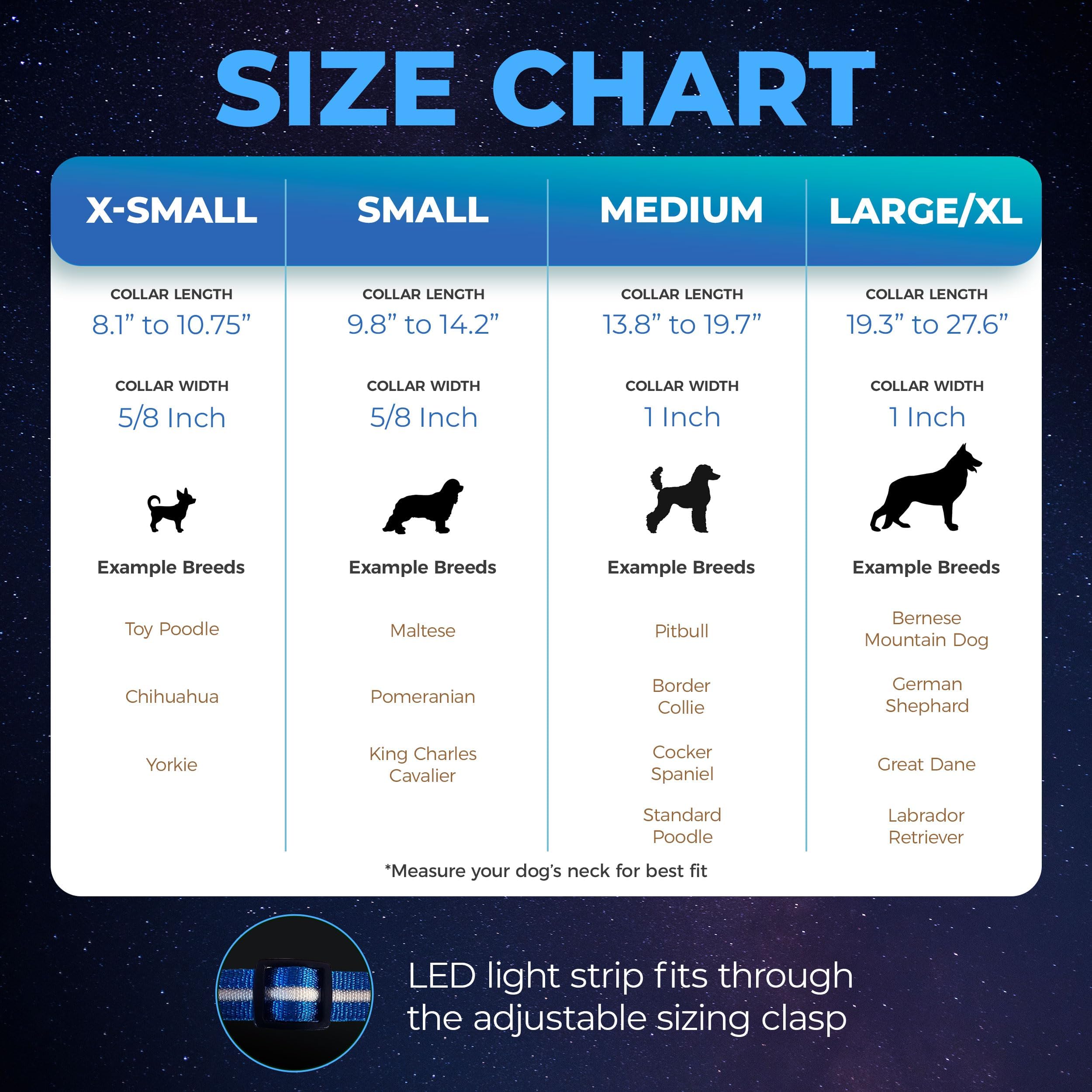 BLAZIN Brightest Up Collars The Original LED with 1,000 Feet of Visibility USB Rechargeable Waterproof Collar Light Dog Lights for Night Walking - USA