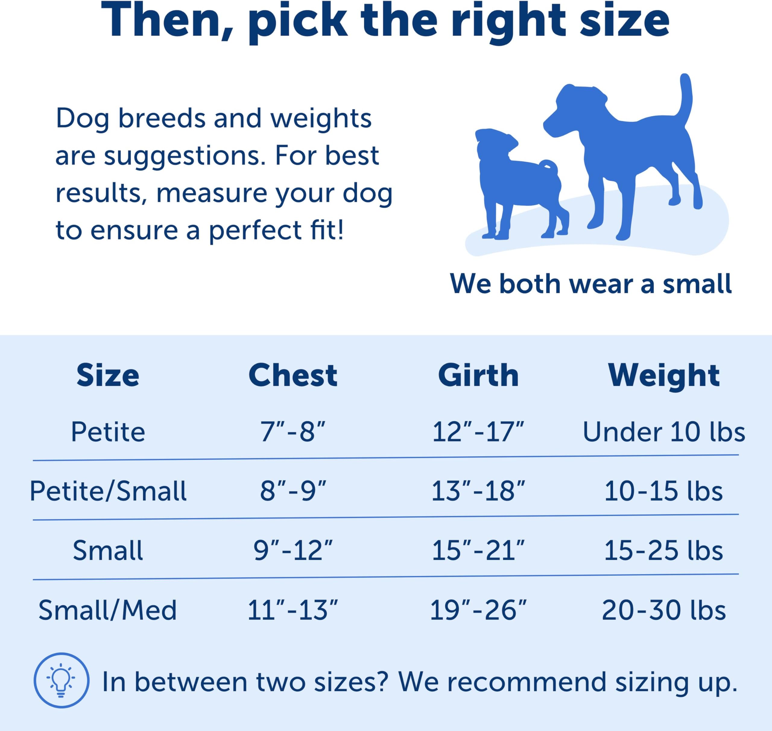 PetSafe Easy Walk No-Pull Dog The Ultimate Harness to Help Stop Take Control & Teach Better Leash Manners - Helps Prevent Pets Pulling on Walks,,/Blac