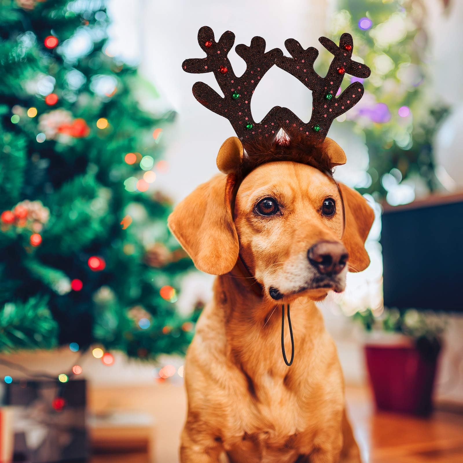 Aneco 3 Pack Christmas Reindeer Dog Headband Puppy Xmas Antlers Headwear Holiday Pet Costume Accessory