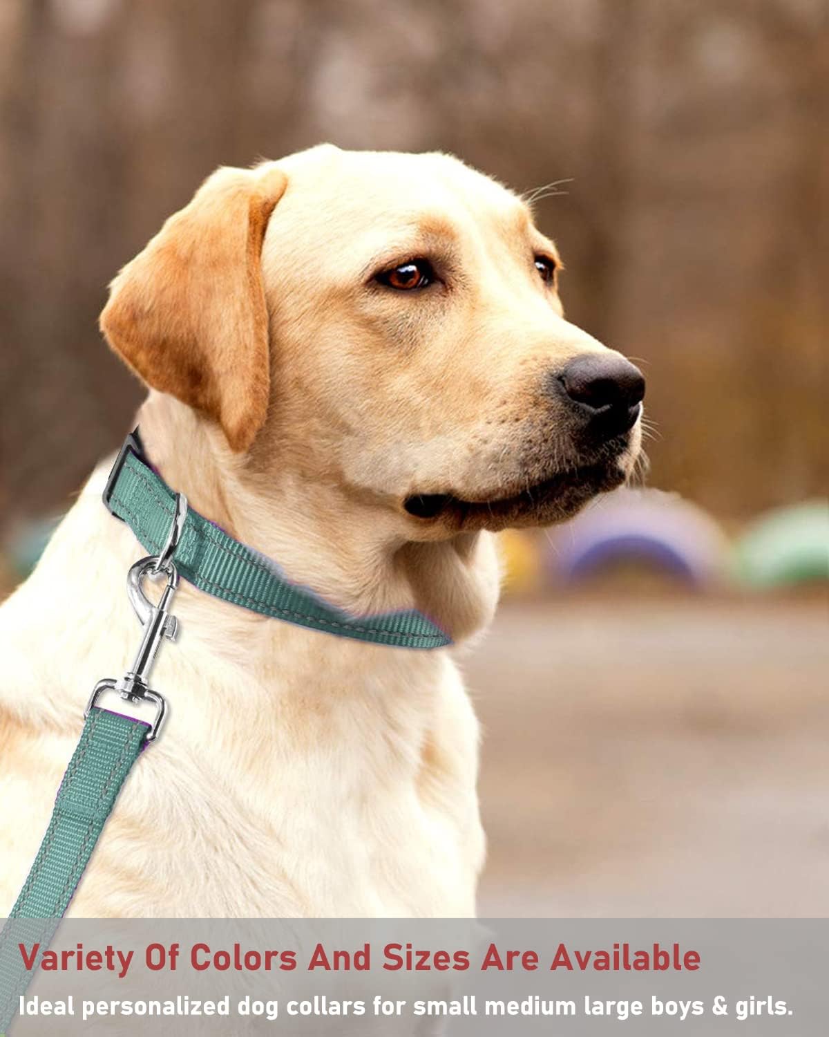 Reflective Dog Collar with Buckle Adjustable Safety Nylon Collars for Small Medium Large Dogs, S
