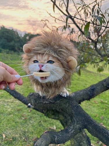 Mane Wig Dog and Costume Pet Adjustable Washable Comfortable Fancy Lion Hair Cat Clothes Dress for Halloween Christmas Easter Festival Party