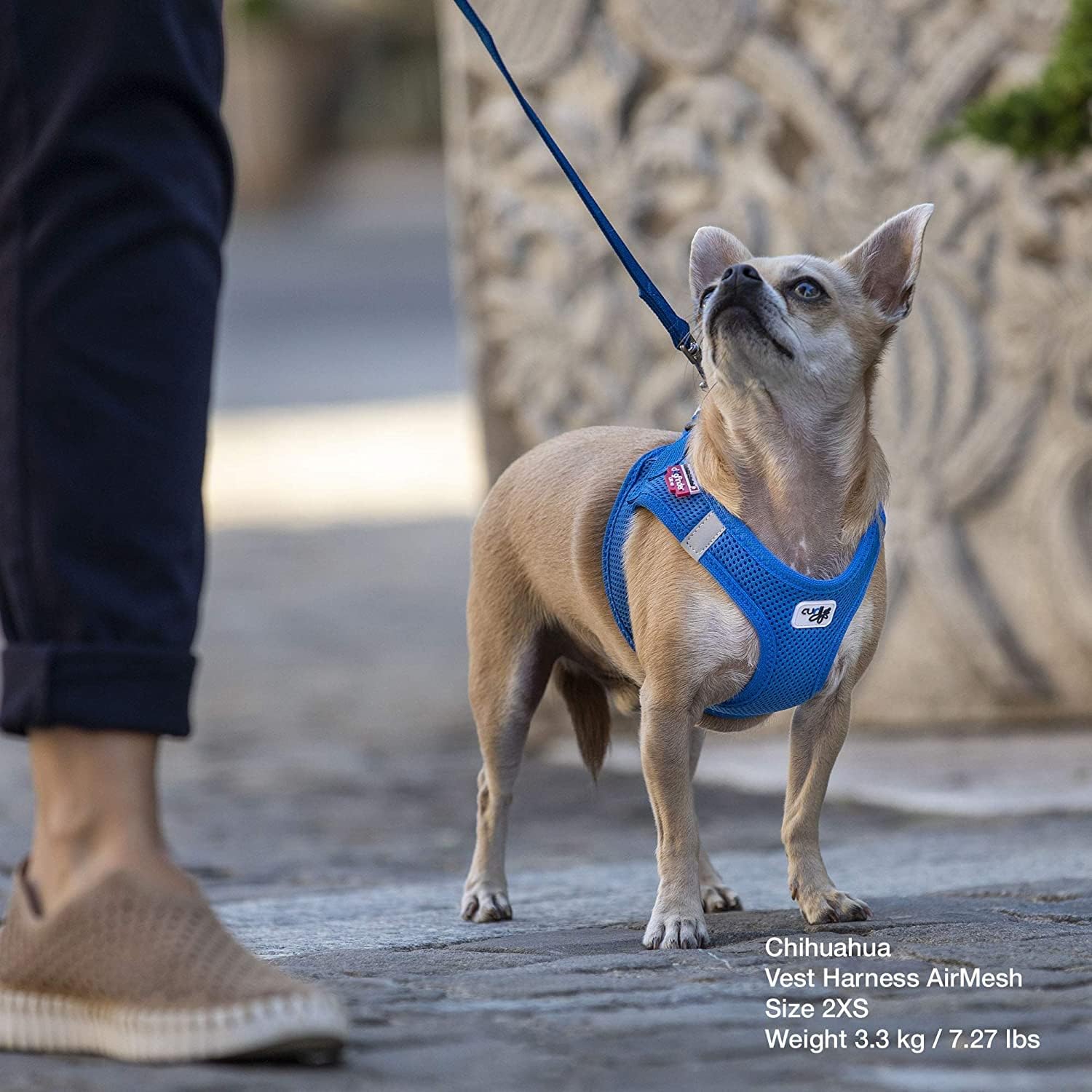 Curli Air-Mesh Dog Pet No-Pull Step-in Harness with Padded Vest
