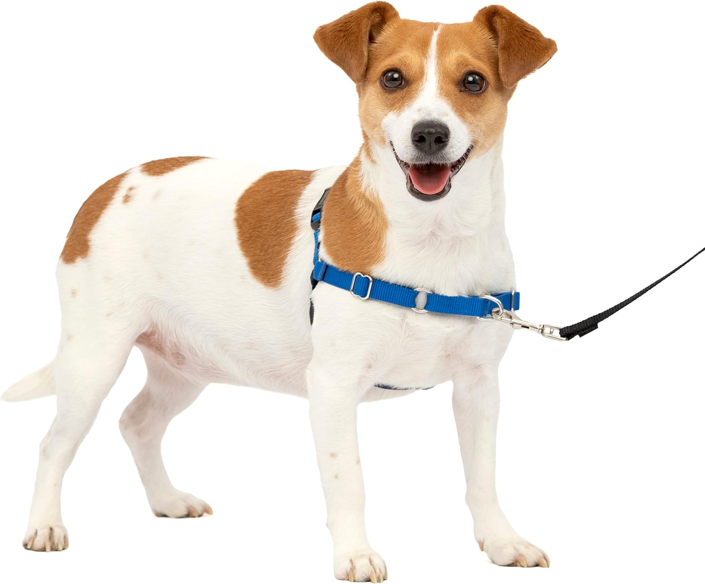 PetSafe Easy Walk No-Pull Dog The Ultimate Harness to Help Stop Take Control & Teach Better Leash Manners - Helps Prevent Pets Pulling on Walks,,/Blac