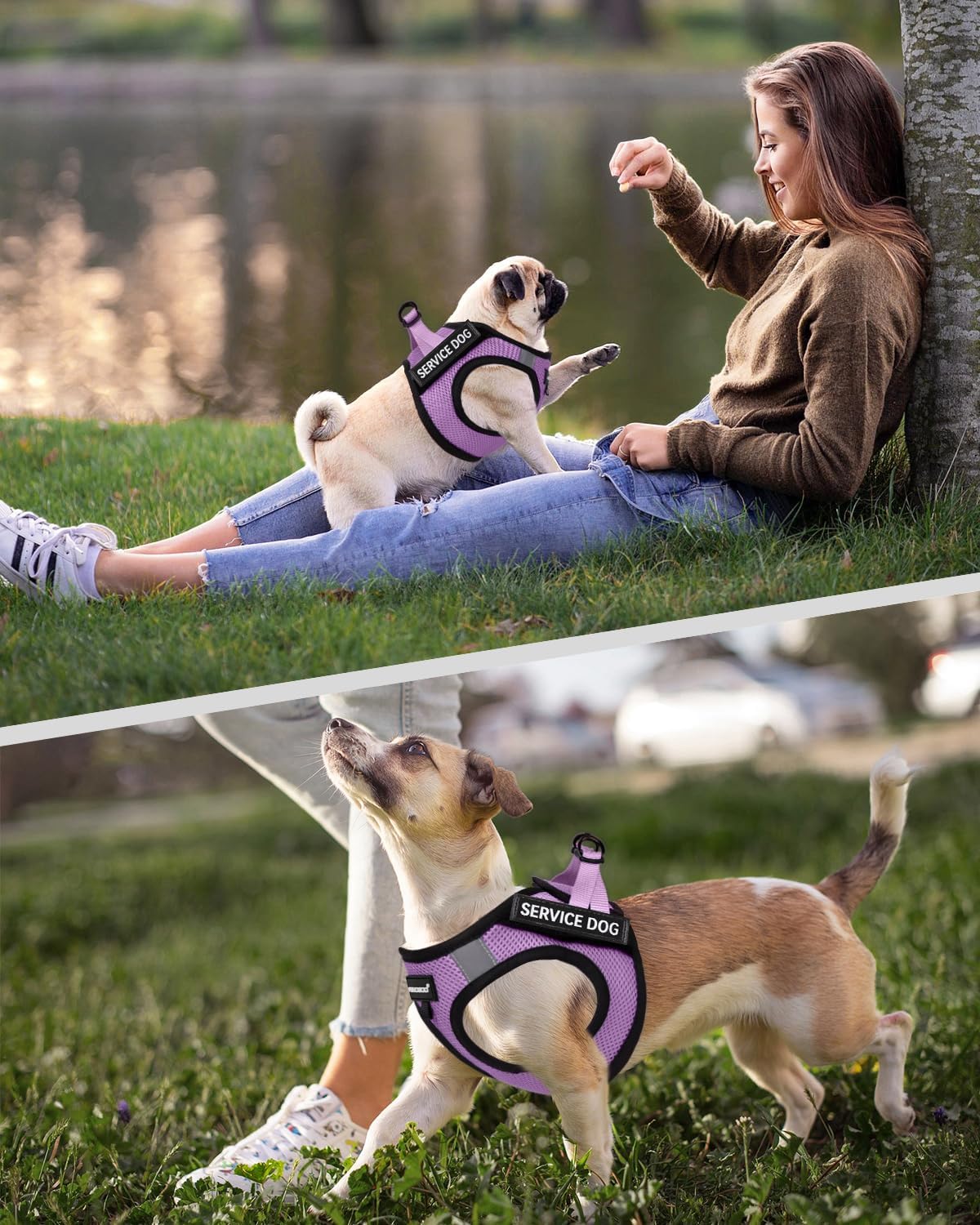 FAYOGOO Service Vest Small Breed Lightweight Dog with 6PCS Removable Patches - Puppy Harness and Leash Set for Walking,Training