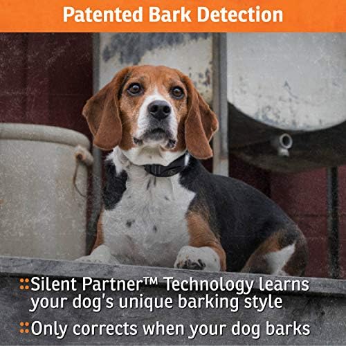 SportDOG NoBark 10 Collars, Rechargeable, Programmable Collar, Silent Parer Technology, Two Modes of Operation, Waterproof Dog Bark Collar (Black)