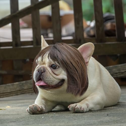 Funny Cat Dog - Brown Bob Haircut with Bangs, Costume for Small to Medium Sized Dogs Cats, Halloween Party Cosplay Apparel Accessories, Comfortable an