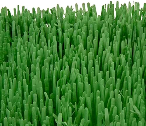 SmartyKat Instincts Meadow Mayhem Hide & Seek Paper Grass Rustle Cat Mat Toy - Green, 2-Pack