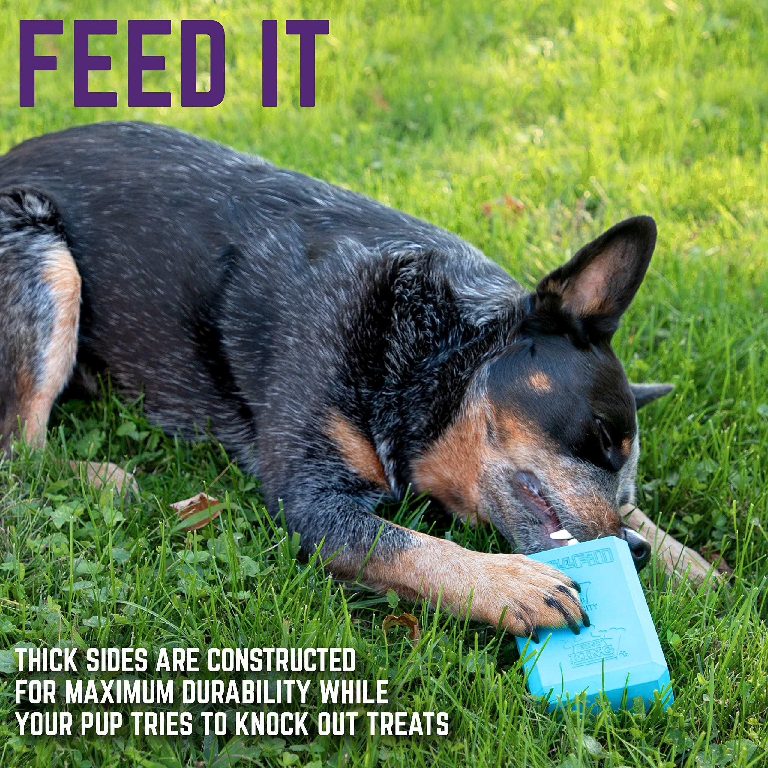 Chew King Premium Treat Dog Toy,, Extremely Durable Natural Rubber Fillable Toy Collection, Frozen Feeding,All Breed Sizes, Blue