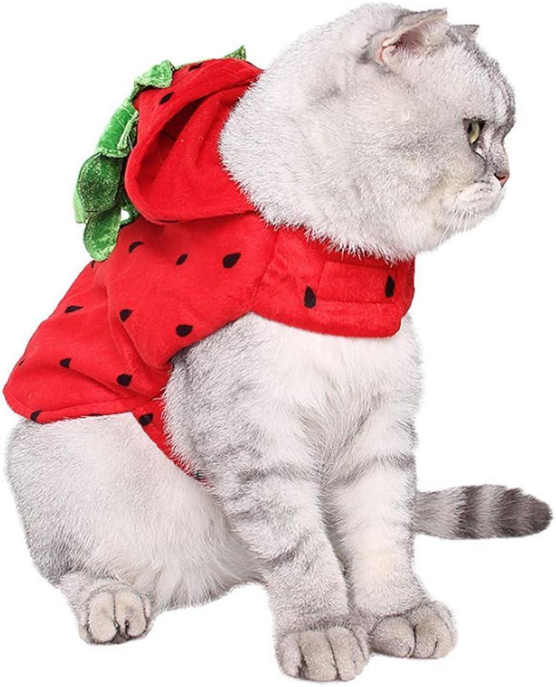 ANIAC Pet Pumpkin Costume Cat Hat Cloak Sets Puppy Poncho Halloween Cosplay for Kitty Small Medium Sized Dog