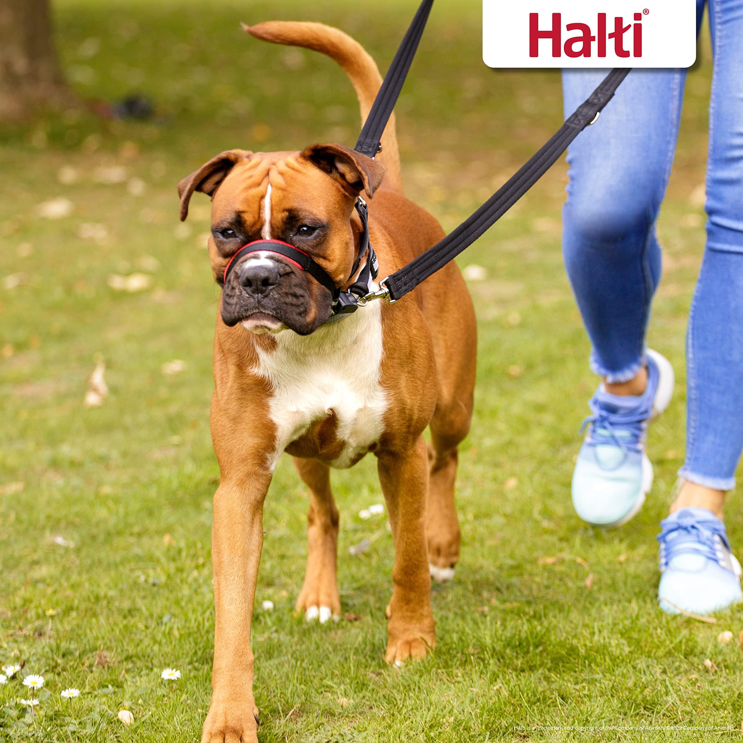 HALTI Optifit Headcollar - To Stop Your Pulling on the Leash. Adjustable, Reflective and Lightweight, with Padded Nose Band. Dog Training Anti-Pull Co