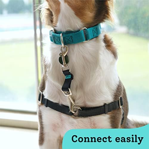 Creatures Companion Adjustable Collar Backup for Dog Harness, Prong, Pinch Collar, Gentle Lead Double Ended Clasp - Safety Clip