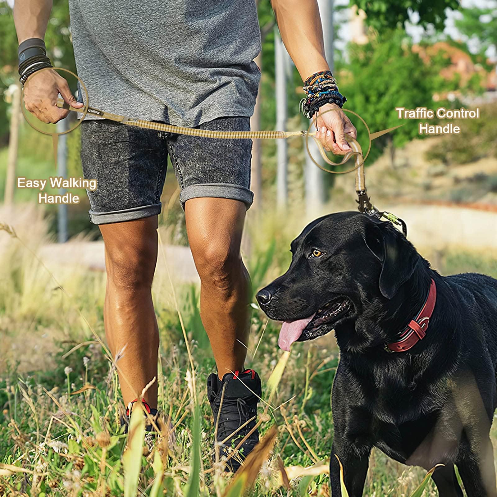Raipult Heavy Duty Tactical Bungee Leash, 4-6FT No Pull Dog Leash Quick Release Carabiner, Reflective Shock Absorbing Leashes with Car Seatbelt for Me