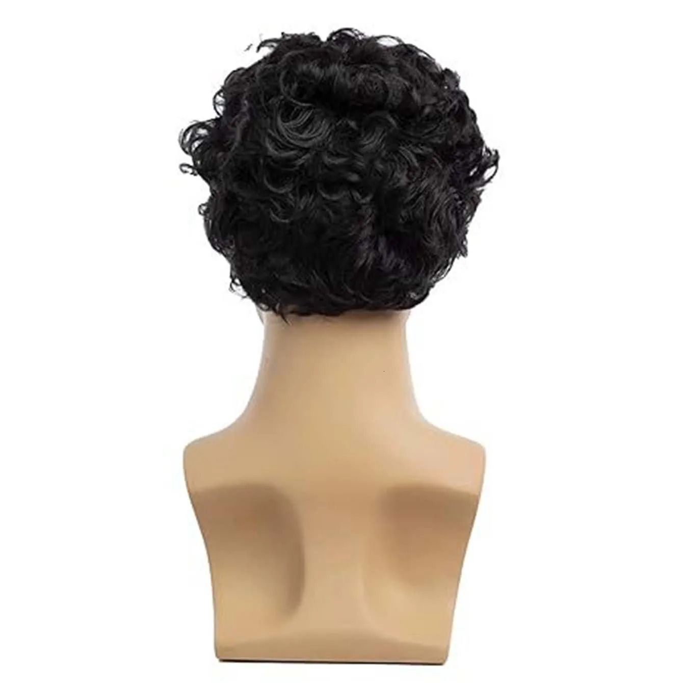 Men Synthetic Short Black Wigs with Bangs for Man Curly Hair Fluffy Daily Heat Resistant Breathable Male Wig 241127