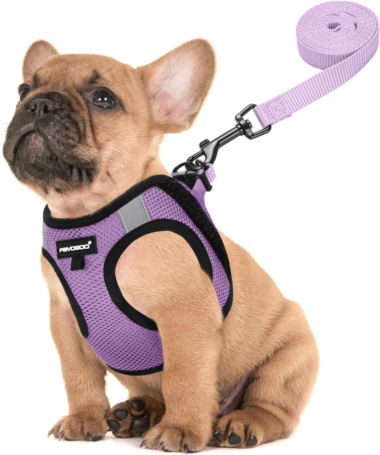 FAYOGOO Service Vest Small Breed Lightweight Dog with 6PCS Removable Patches - Puppy Harness and Leash Set for Walking,Training