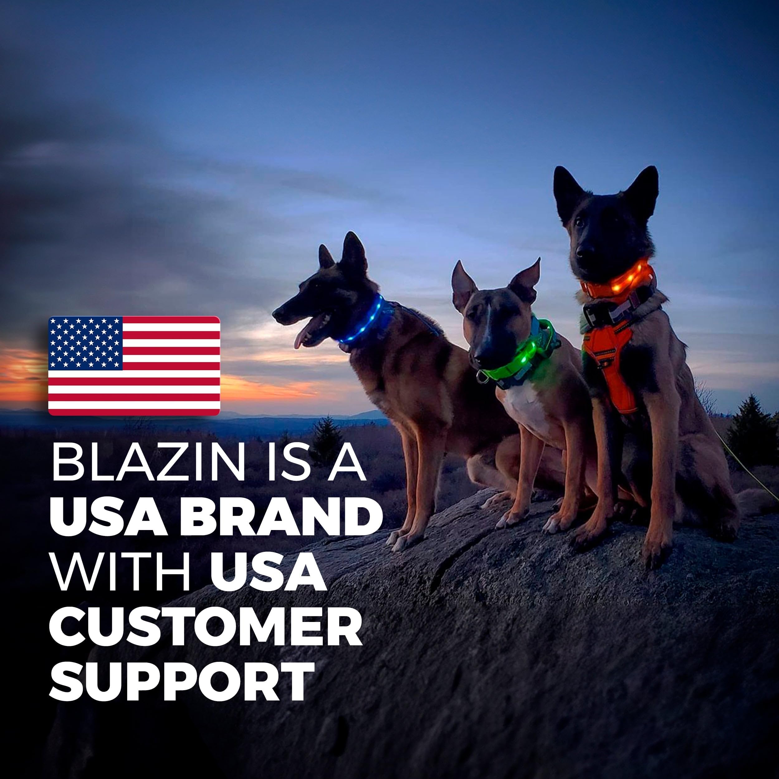 BLAZIN Brightest Up Collars The Original LED with 1,000 Feet of Visibility USB Rechargeable Waterproof Collar Light Dog Lights for Night Walking - USA