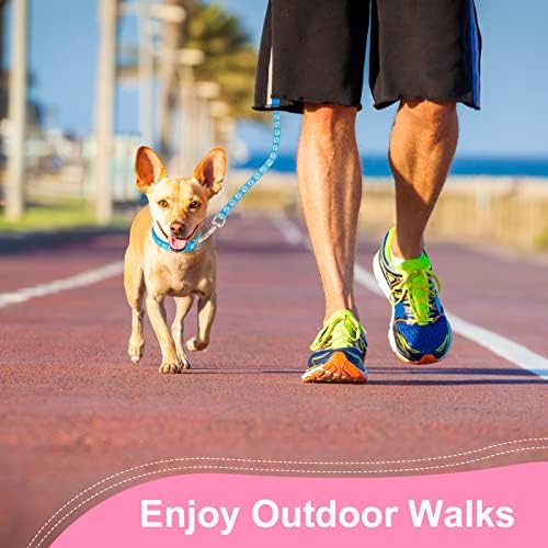 BOUSOE 2 Packs Dog Leash Set, and Lead Set Quick Release Buckle Adjustable Paw Print Soft Nylon Pet Collar for Puppy Small Dogs