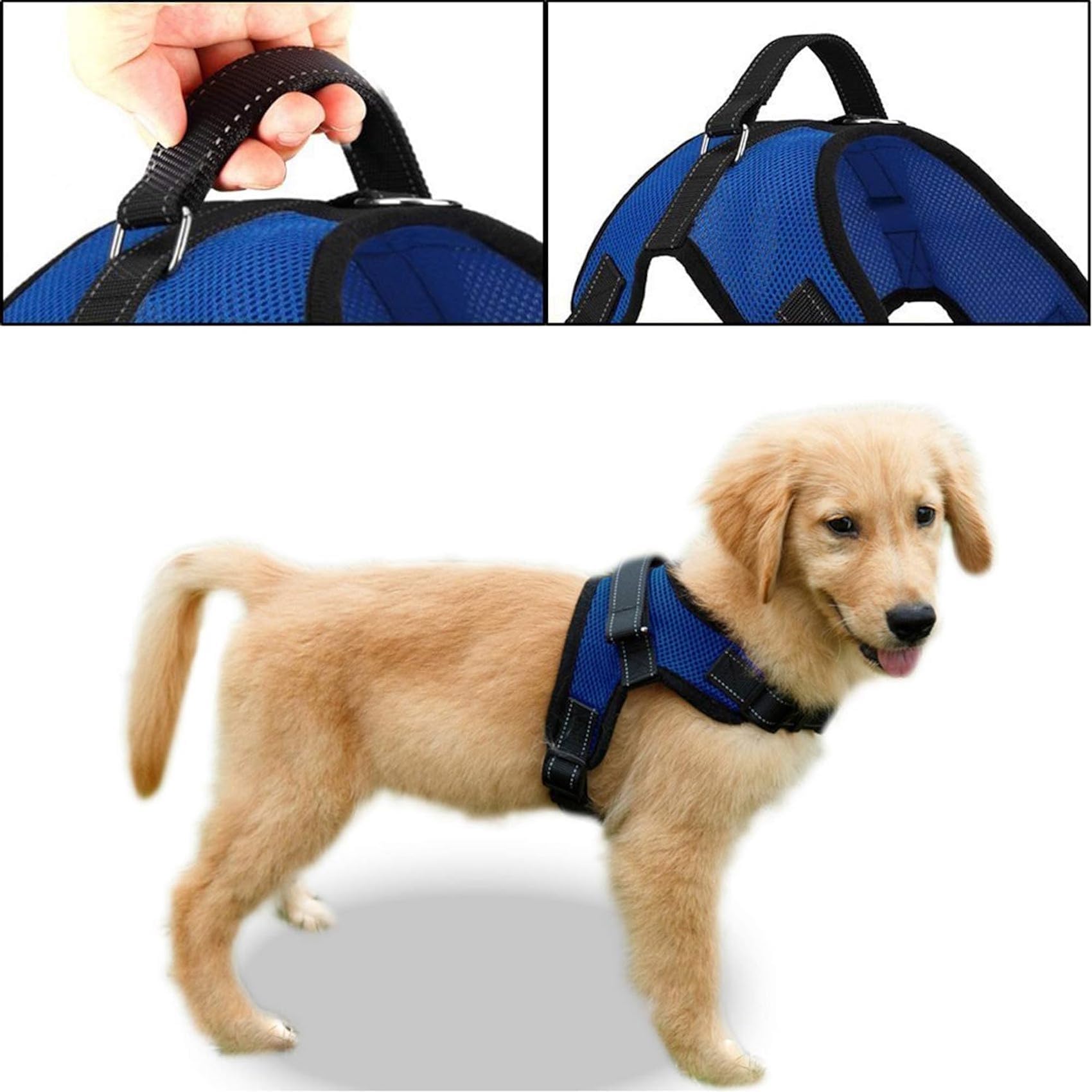 Copatchy No Pull Reflective Adjustable Dog with Handle- Comfortable Soft All Weather Mesh, Easy On Puppy Harness for Small Medium and Dogs