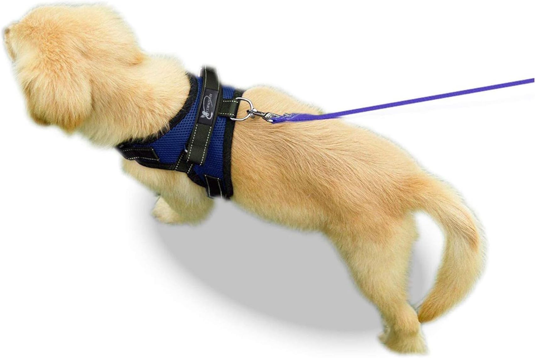 Copatchy No Pull Reflective Adjustable Dog with Handle- Comfortable Soft All Weather Mesh, Easy On Puppy Harness for Small Medium and Dogs
