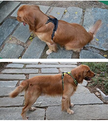 JUXZH Soft Front Dog .Best Reflective No Pull Harness with Handle and 2 Leash Attachments