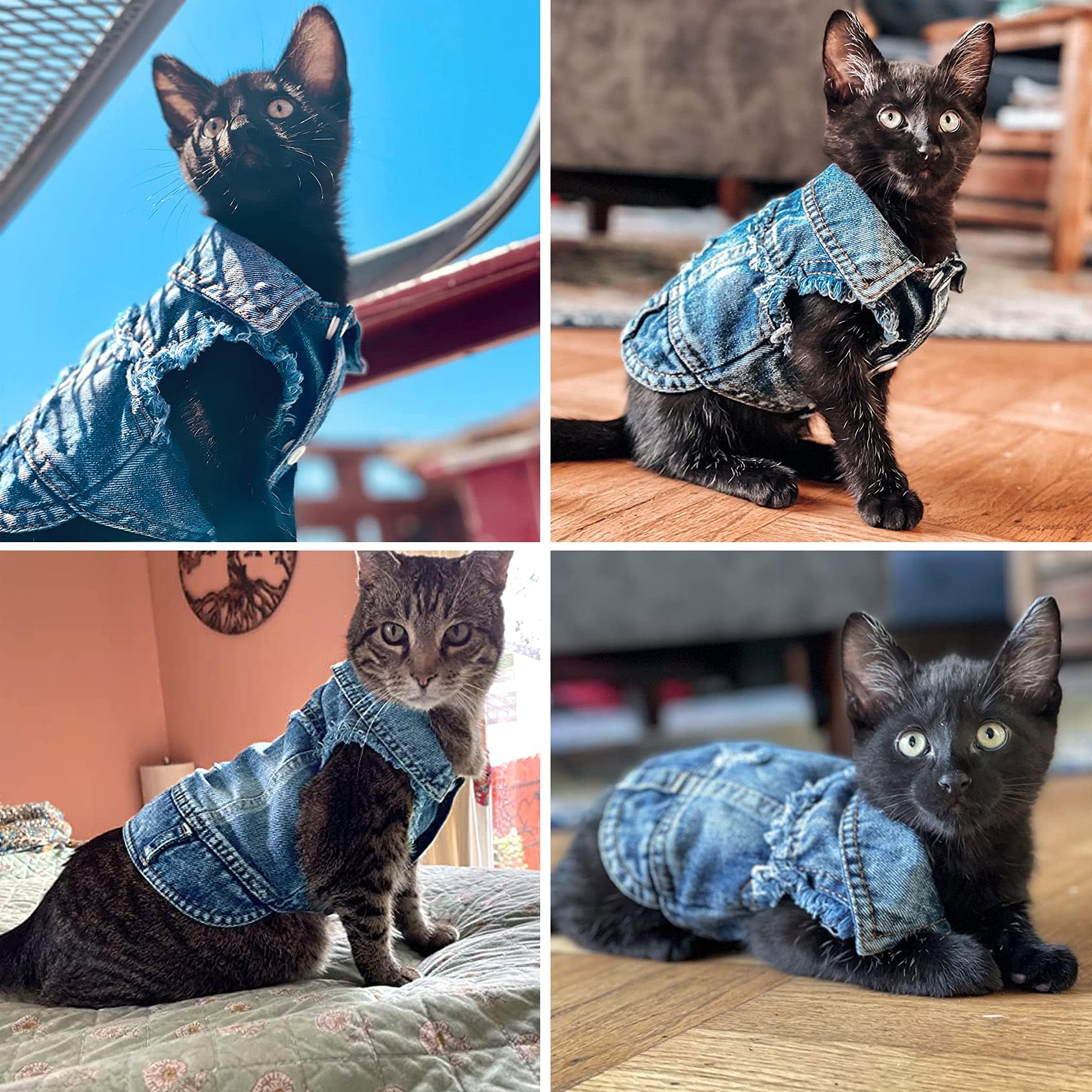 Brocarp Dog Jean et, Denim Lapel Vest Coat T-Shirt Costume Cute Girl Boy Puppy Clothes, Comfort and Cool Apparel, for Medium Dogs Cats, hine Washable 
