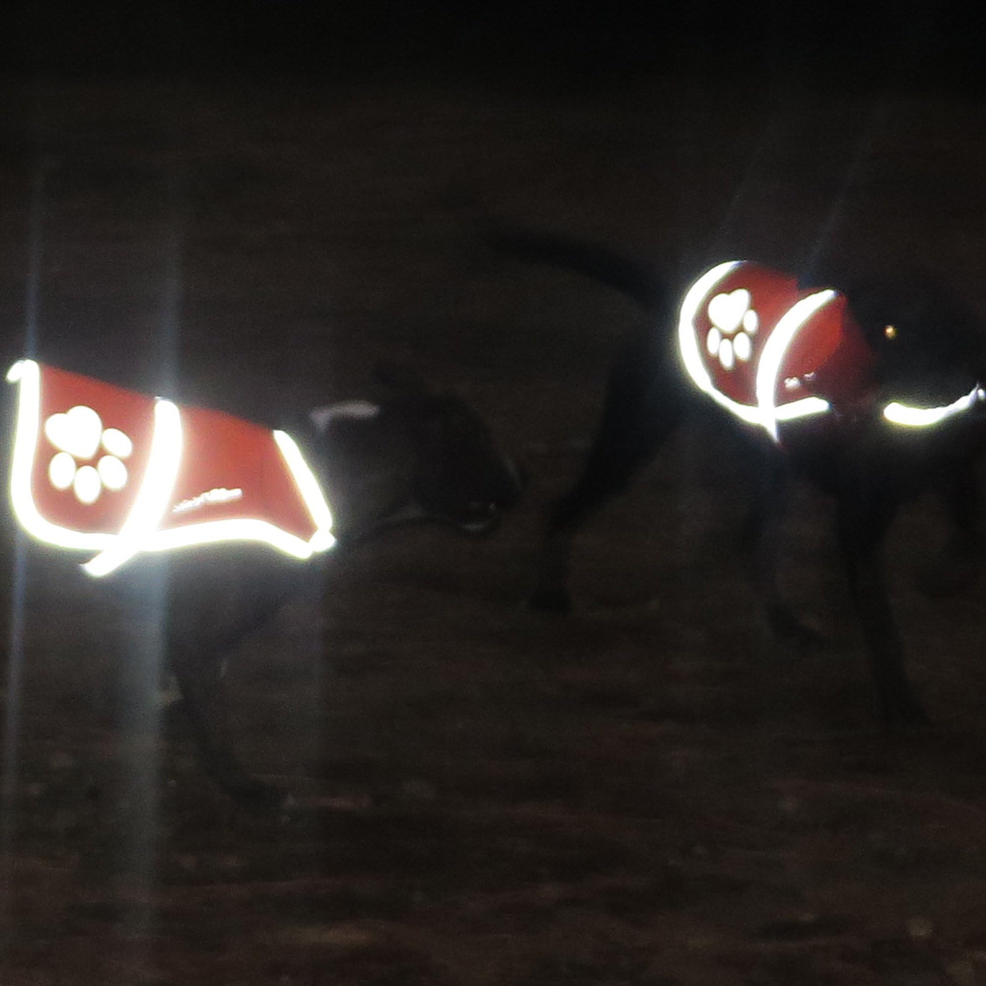 SafetyPUP XD Urban Reflective Vest. Our Fluorescent Hi-Visibility Dog et lti-Colors Helps to Safeguard Your PUP in The Outdoors On and Off Leash