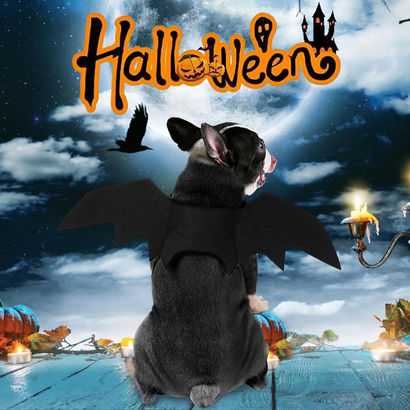 Wings, Pet Costume Small Medium Dogs, Cosplay Bat Wings for Cat Dog Halloween Party Decoration