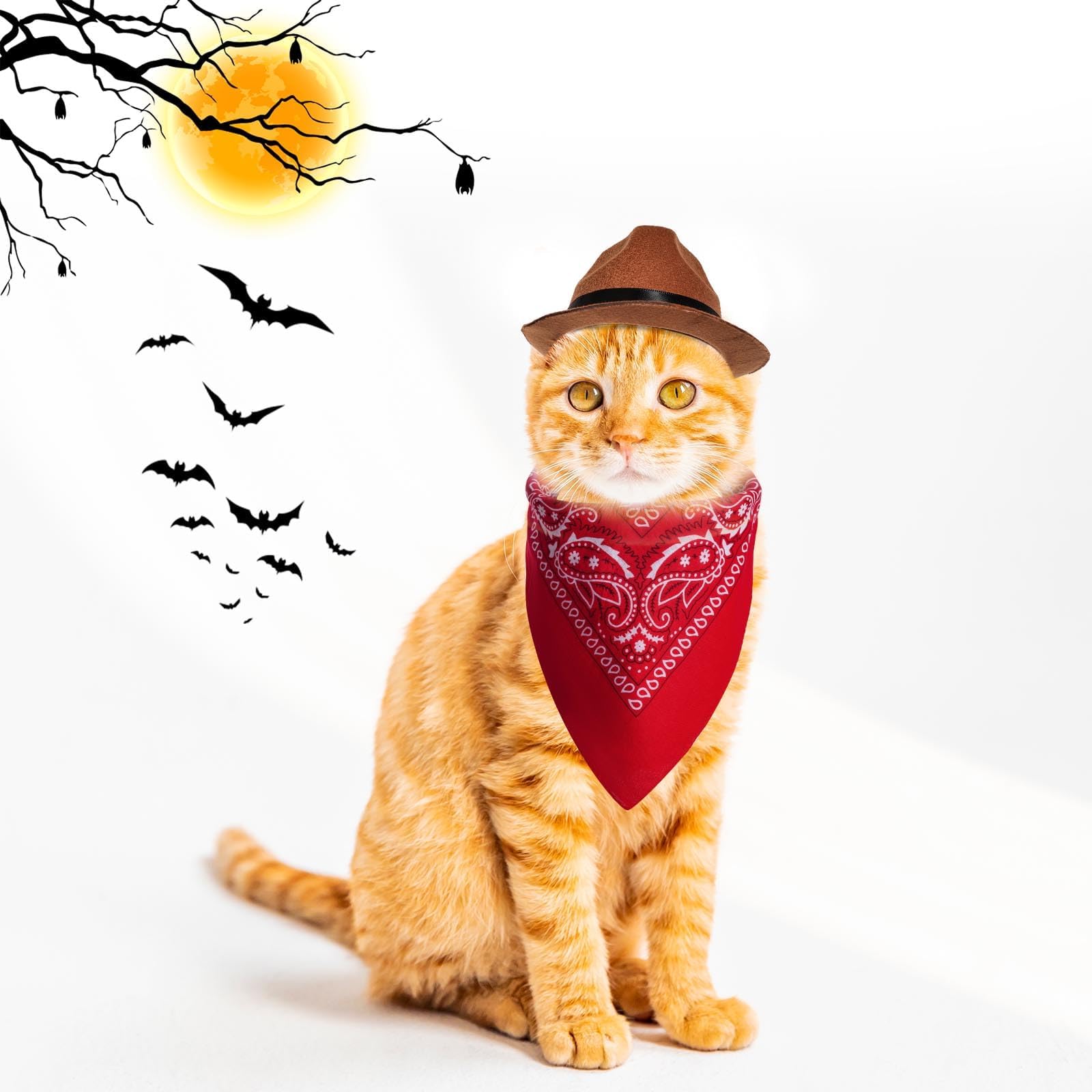 choyaxo Dog Halloween Costumes Pet Costume for Dogs Cat Cowboy Hat with Bandana Scarf Set Party Accessories