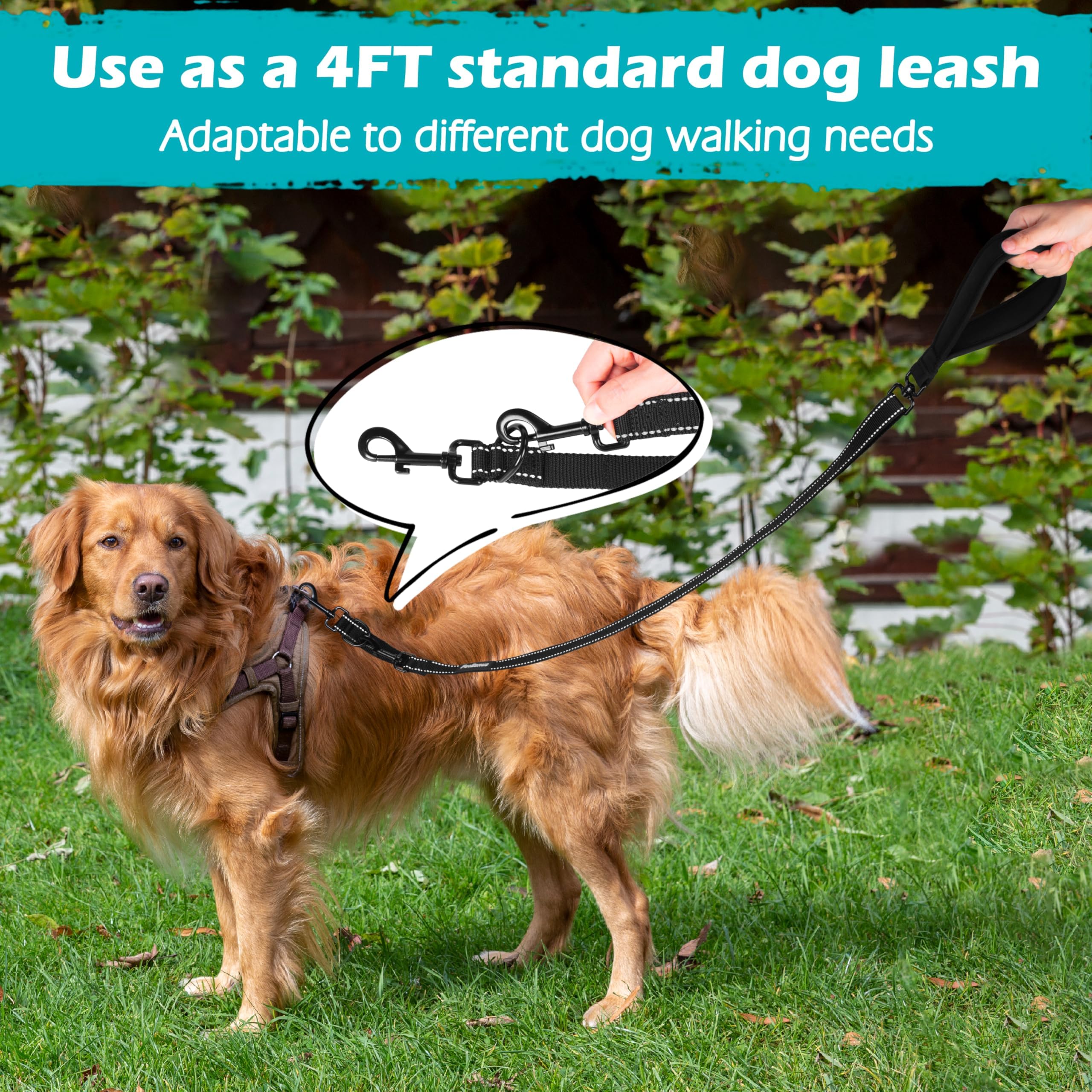 PetBonus Two Point Control Leash, Works with Harnesses, Tangle Dog Training Leashes, No Pull Padded and Reflective Walking Lead, Converts to Single Le