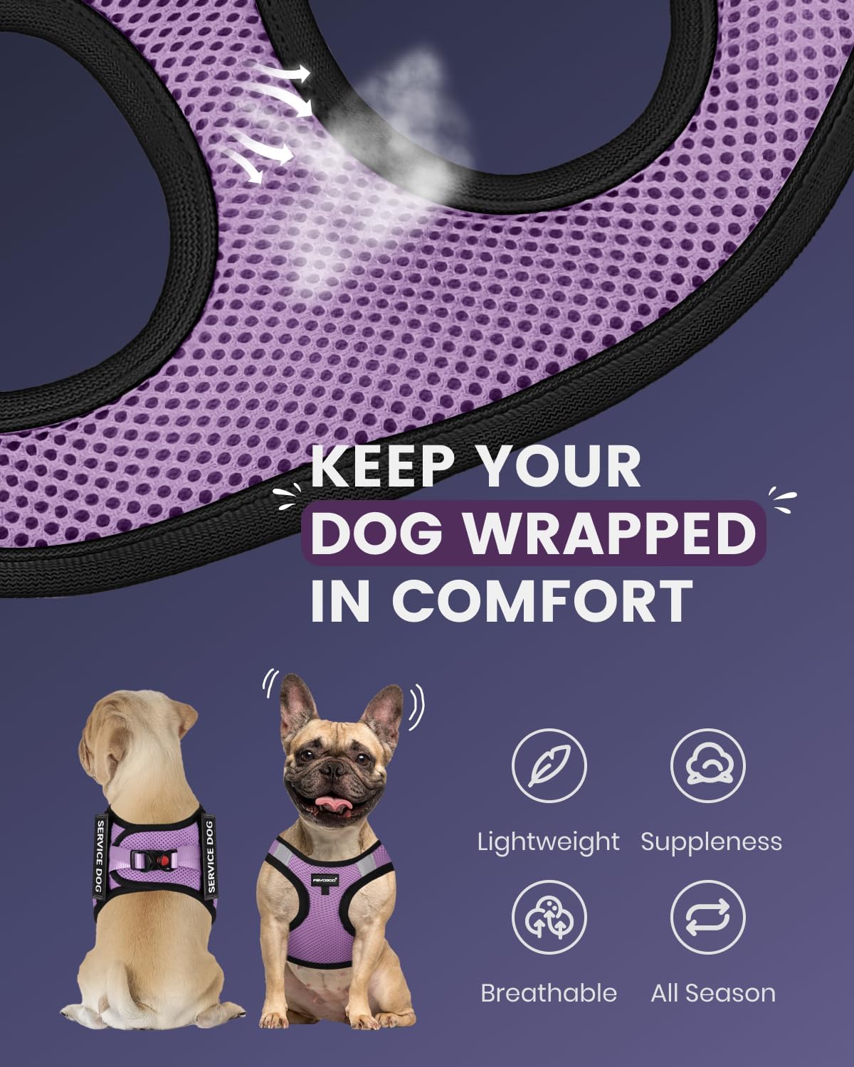 FAYOGOO Service Vest Small Breed Lightweight Dog with 6PCS Removable Patches - Puppy Harness and Leash Set for Walking,Training