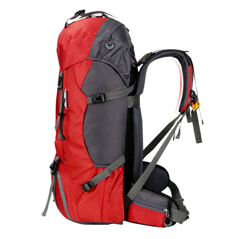 60L Man Woman Hiking Camping Backpacks Waterproof Hike Travel Outdoor Bag For Climbing Trekking Sports Rucksack Bags Rain Cover 241127