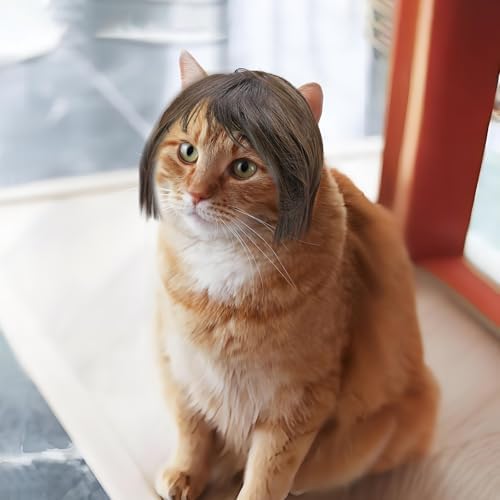 Funny Cat Dog - Brown Bob Haircut with Bangs, Costume for Small to Medium Sized Dogs Cats, Halloween Party Cosplay Apparel Accessories, Comfortable an