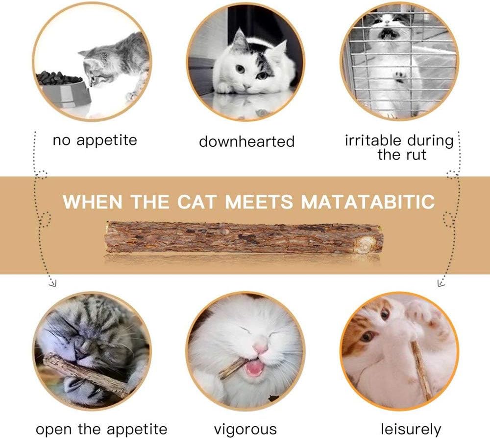 WoLover Matatabi Siervine Sticks - Cleaning Teeth Molar Tools Kitten Chew Natural Caip Cat Toy