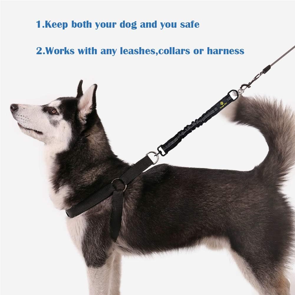 Bungee Dog Leash Attachment, 18u201D Shock Absorbing Lead Extension Absorber, Prevent Injury on Arm and Shoulder & Save Dogs from Getting Hurt, Great 