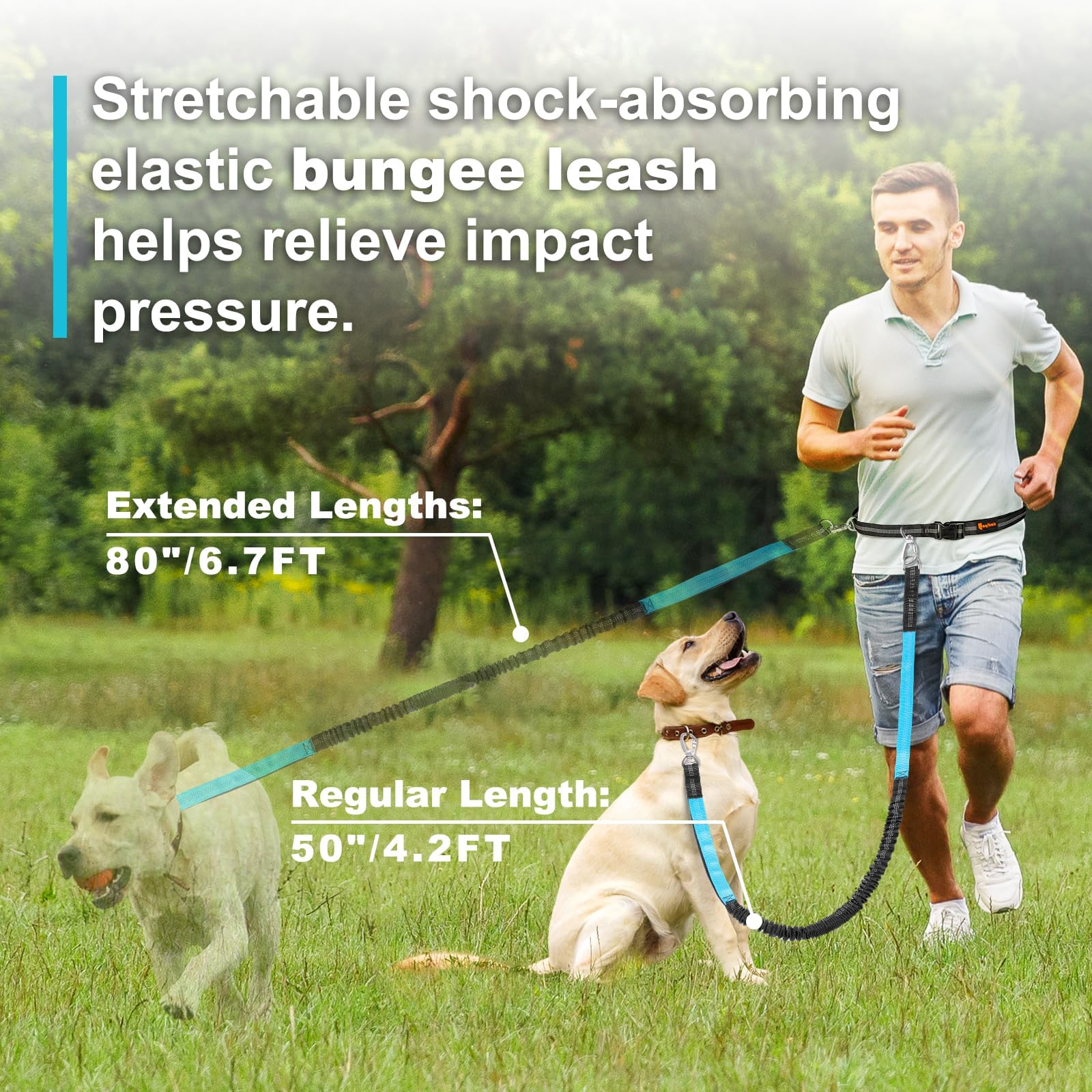 Hands Fr Lash, Adjustabl Waist Dog, Handl Bung Dog Lash 4.2-6.7 Ft Long with Rflctiv s for Walking Hiking Running, Fits 26 - 47 Waist, Black &