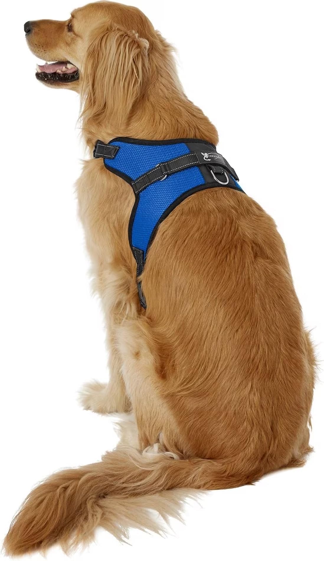 Copatchy No Pull Reflective Adjustable Dog with Handle- Comfortable Soft All Weather Mesh, Easy On Puppy Harness for Small Medium and Dogs