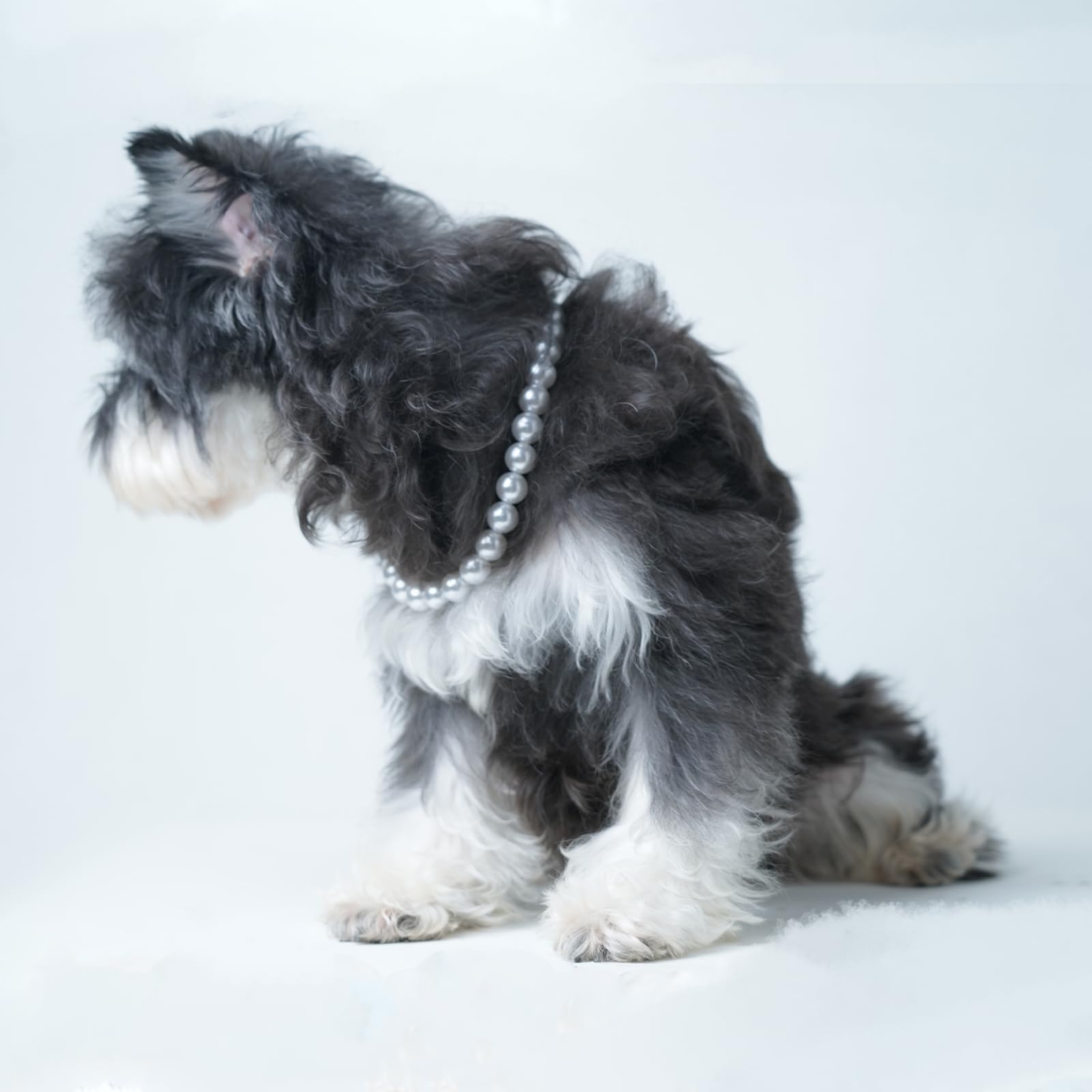 Pet Pearl Collar, Adjustable Dog Necklace,Chic Jewelry for Cat Puppy Chihuahua Girl Dogs Clothing Dress Accessories(White) (M 11.8''