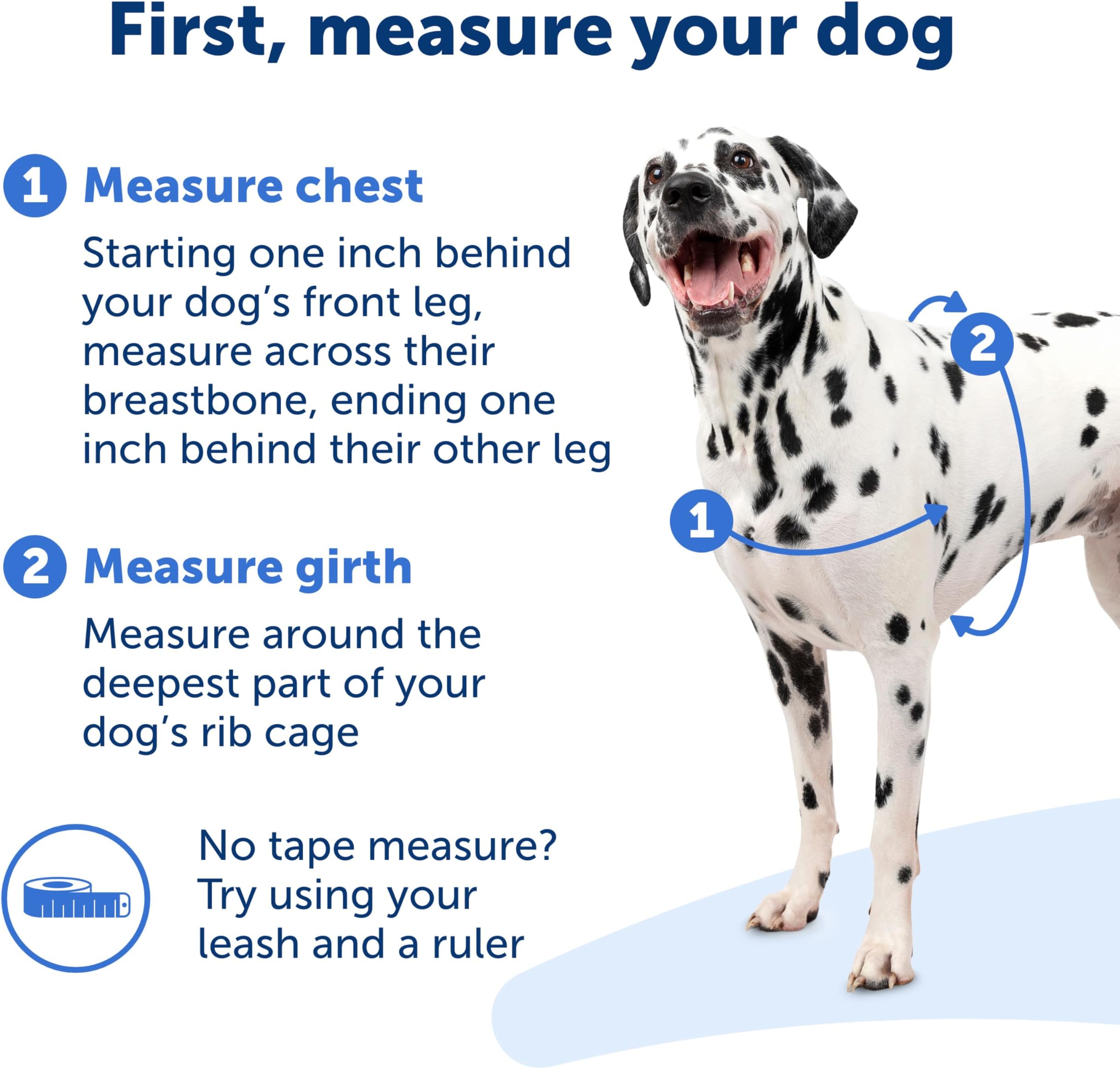 PetSafe Easy Walk No-Pull Dog The Ultimate Harness to Help Stop Take Control & Teach Better Leash Manners - Helps Prevent Pets Pulling on Walks,,/Blac