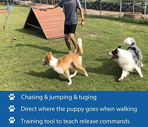 Interactive Flirt Pole Chase and Tug of War,Durable Teaser Wand with Pet Fleece Rope Tether Lure Toy to Outdoor Exercise & Training for Small Medium L