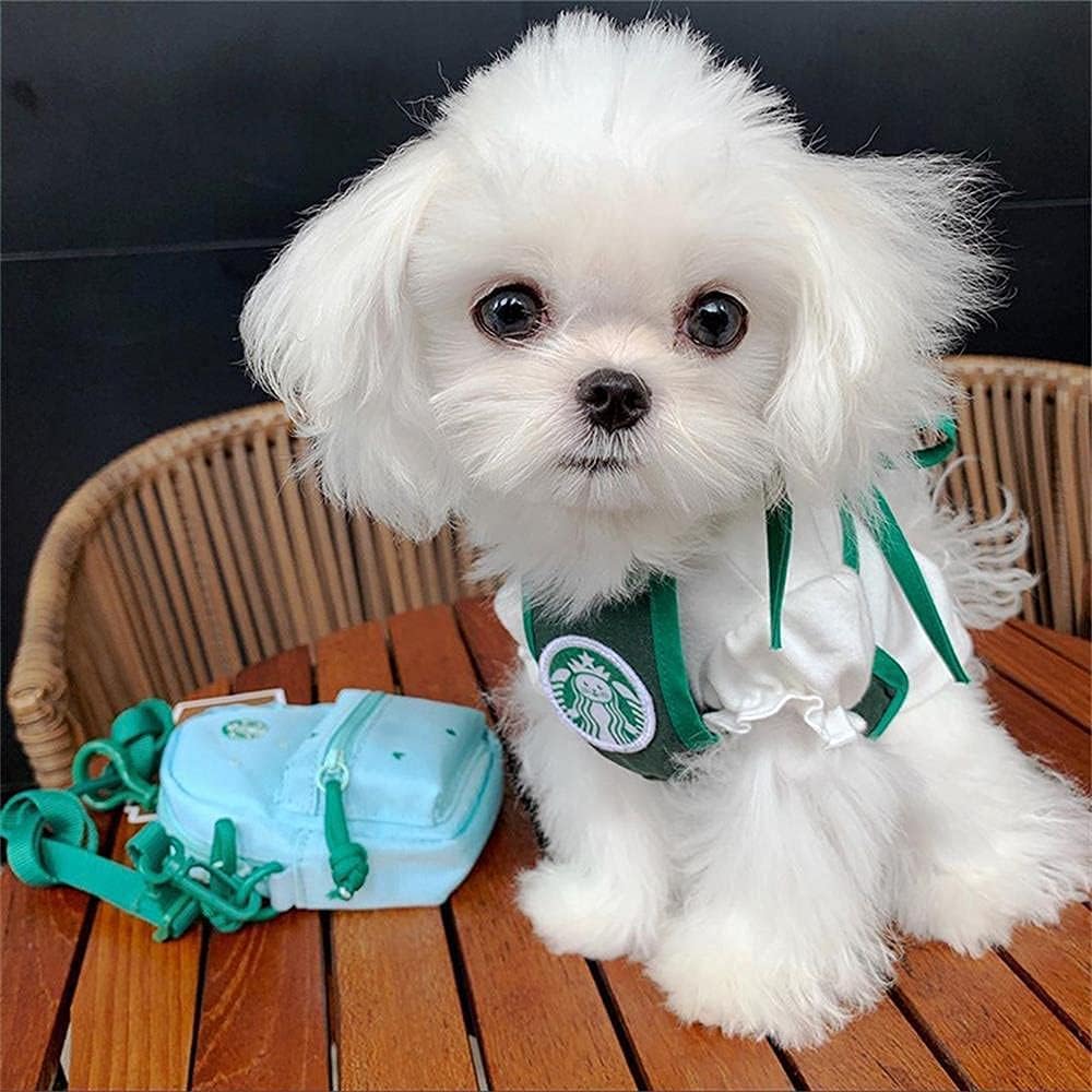 RUPO Bucks Cat Dog Clothes, Funny Pet Costume, Suitable for Most Small Dogs or CatsSoft, Comfortable, and Breathable