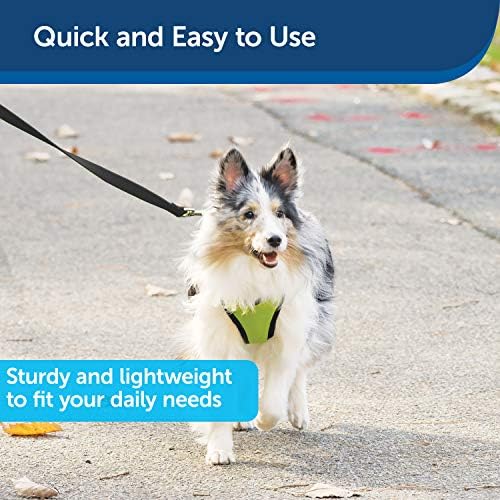 PetSafe Nylon Dog Strong, Durable, Traditional Style Leash with Easy to Use Bolt Snap for Small, Medium and Large Dogs u2013 3/4 x 4', Black