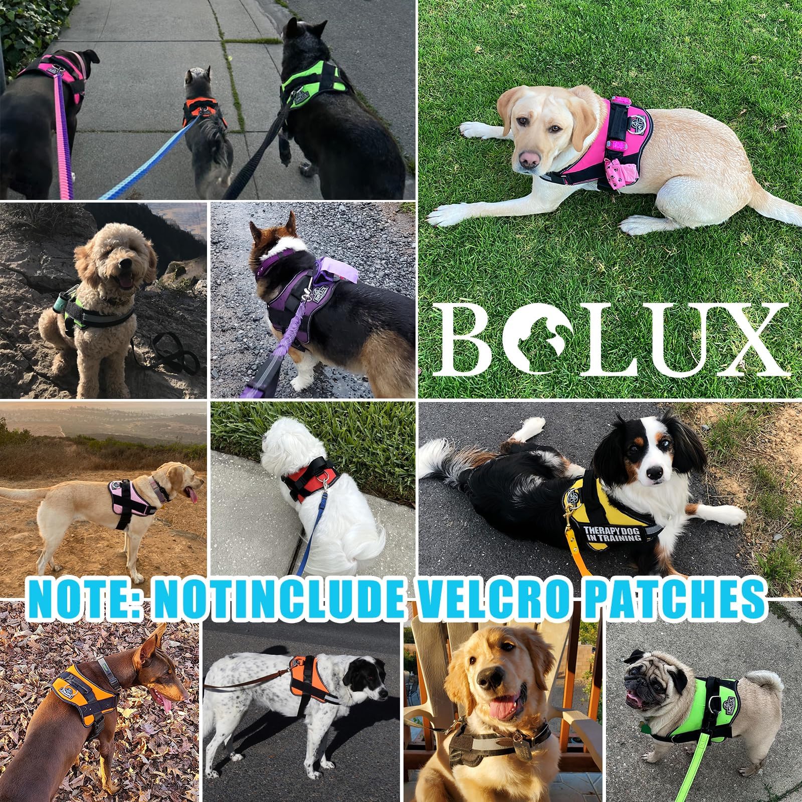 Bolux Harness, No-Pull Reflective Dog Vest, Breathable Adjustable Pet Harness with Handle for Outdoor Walking - No More Pulling, Ting or Choking ( (Pa