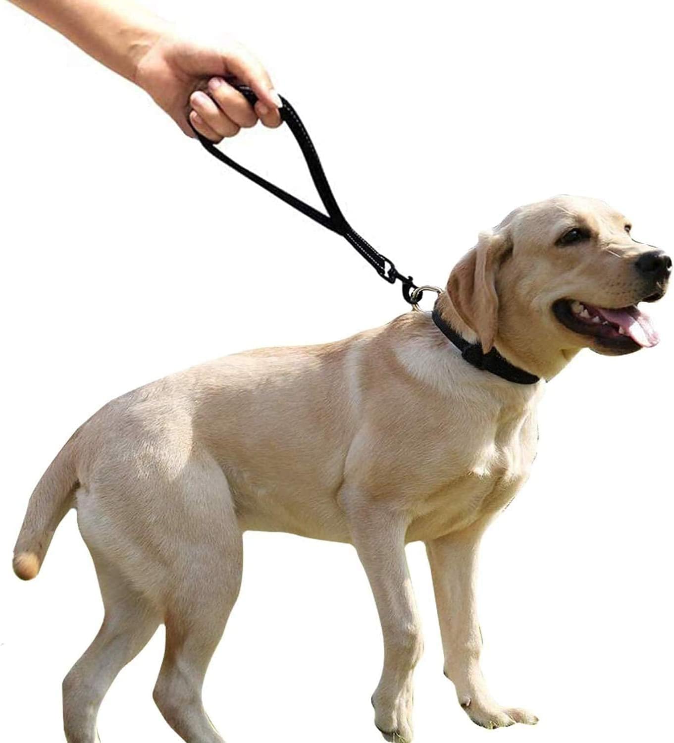 CHMETE Heavy Duty with Comfortable Padded Handle Reflective Training leashes for Medium Large Dogs Up to 80lbs (u201D Short Dog Leash