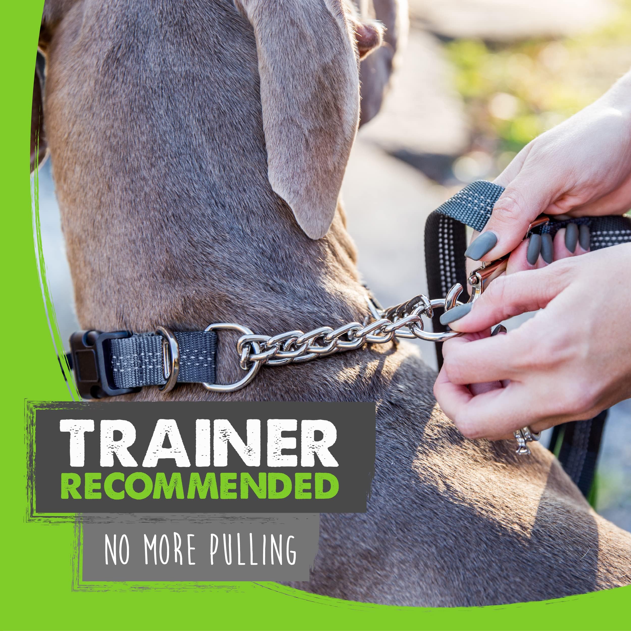Mighty Paw Martingale Dog 2.0 | Trainer Approved Limited Slip with Stainless Steel Chain Heavy Duty Buckle Modified Cinch Collar for Gentle & Effectiv
