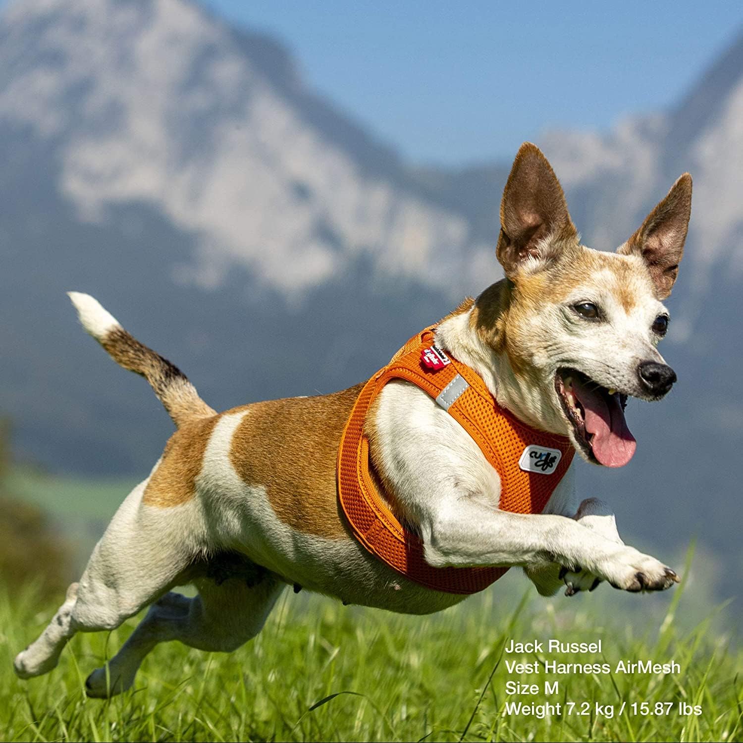 Curli Air-Mesh Dog Pet No-Pull Step-in Harness with Padded Vest