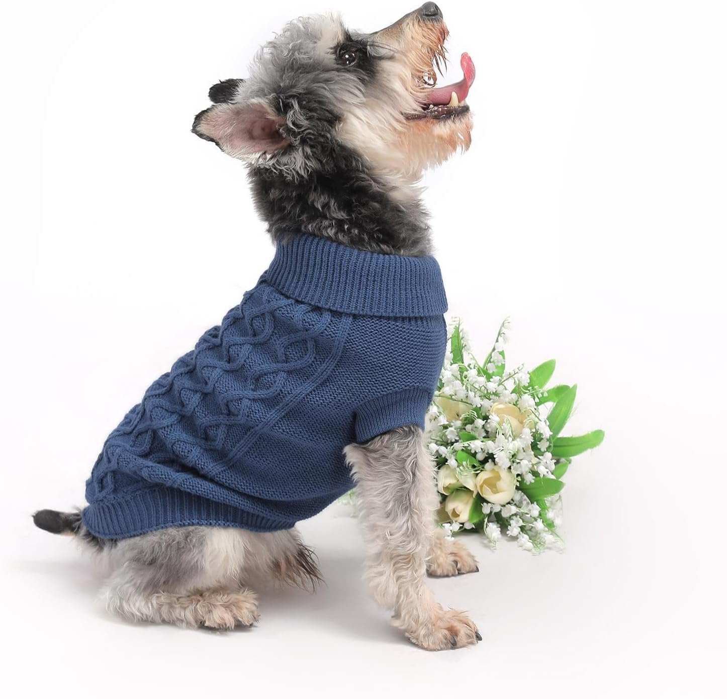 MengMengDa Warm Winter Sweater Pet Clothes Knitwear for to Medium Breeds Dog Outfits (Green S)u2026